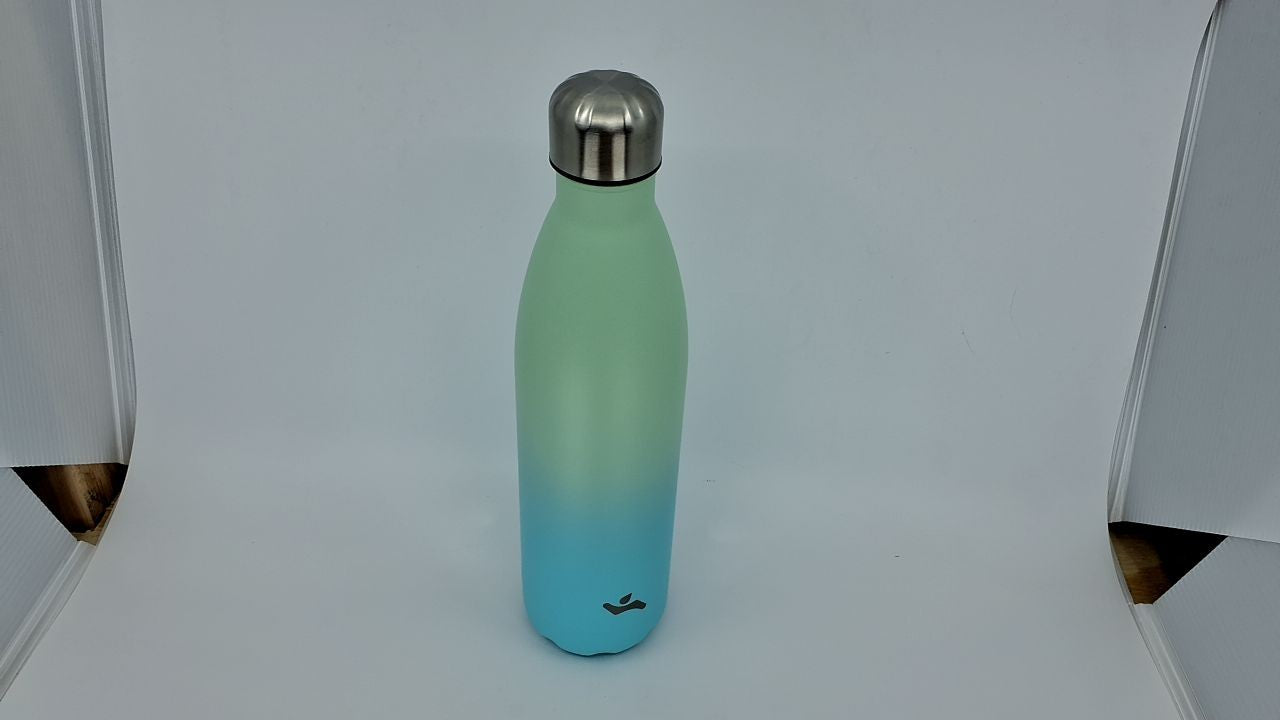 25 oz Insulated Water Bottle Mint Stainless Steel Double Wall Flask