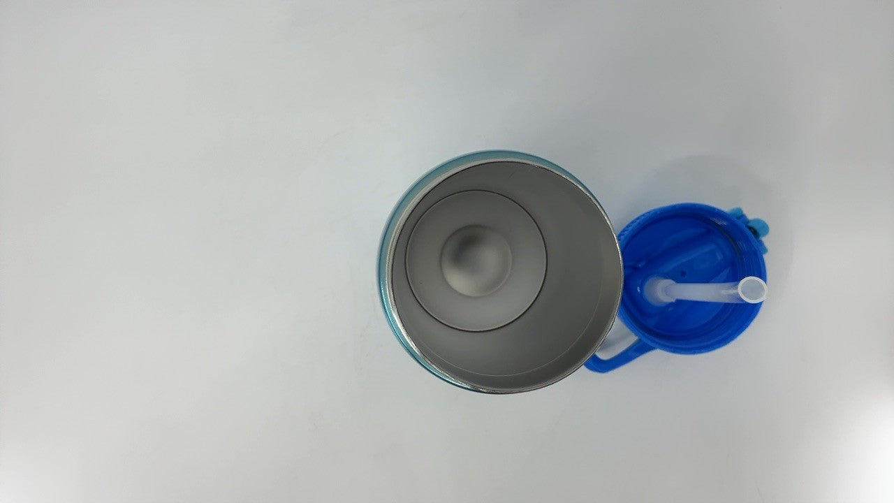 Disney Lilo & Stitch 19 oz Vacuum Insulated Water Bottle - Stainless Steel