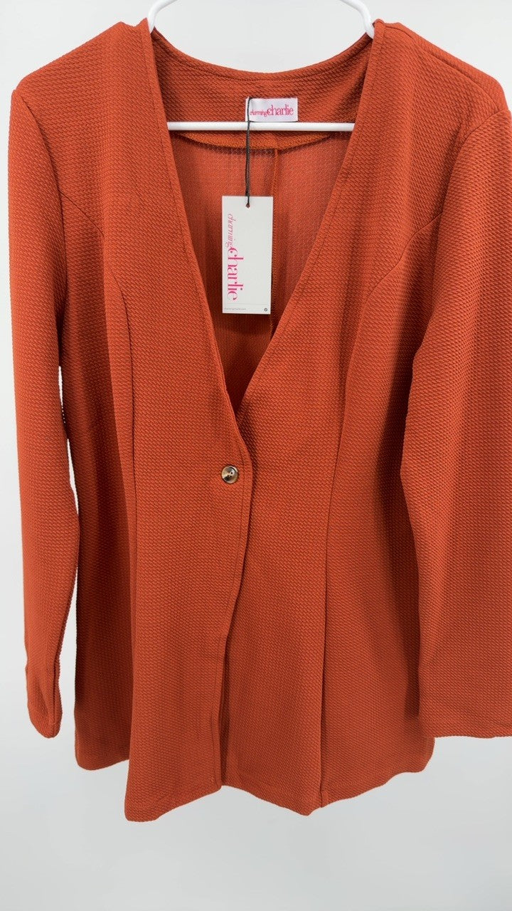 One Button Long Sleeve Blazer