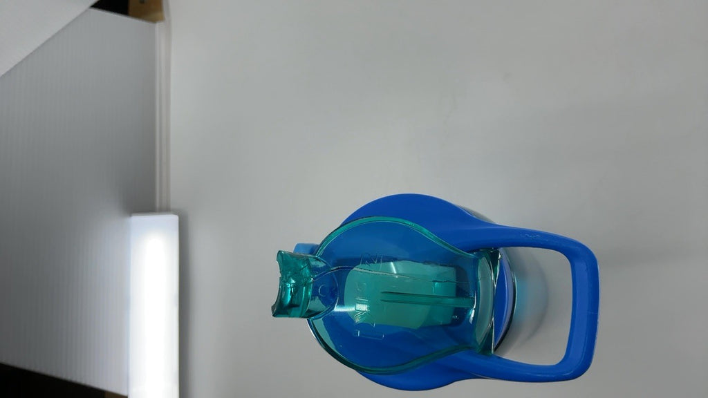 Disney Lilo & Stitch 19 oz Vacuum Insulated Water Bottle - Stainless Steel