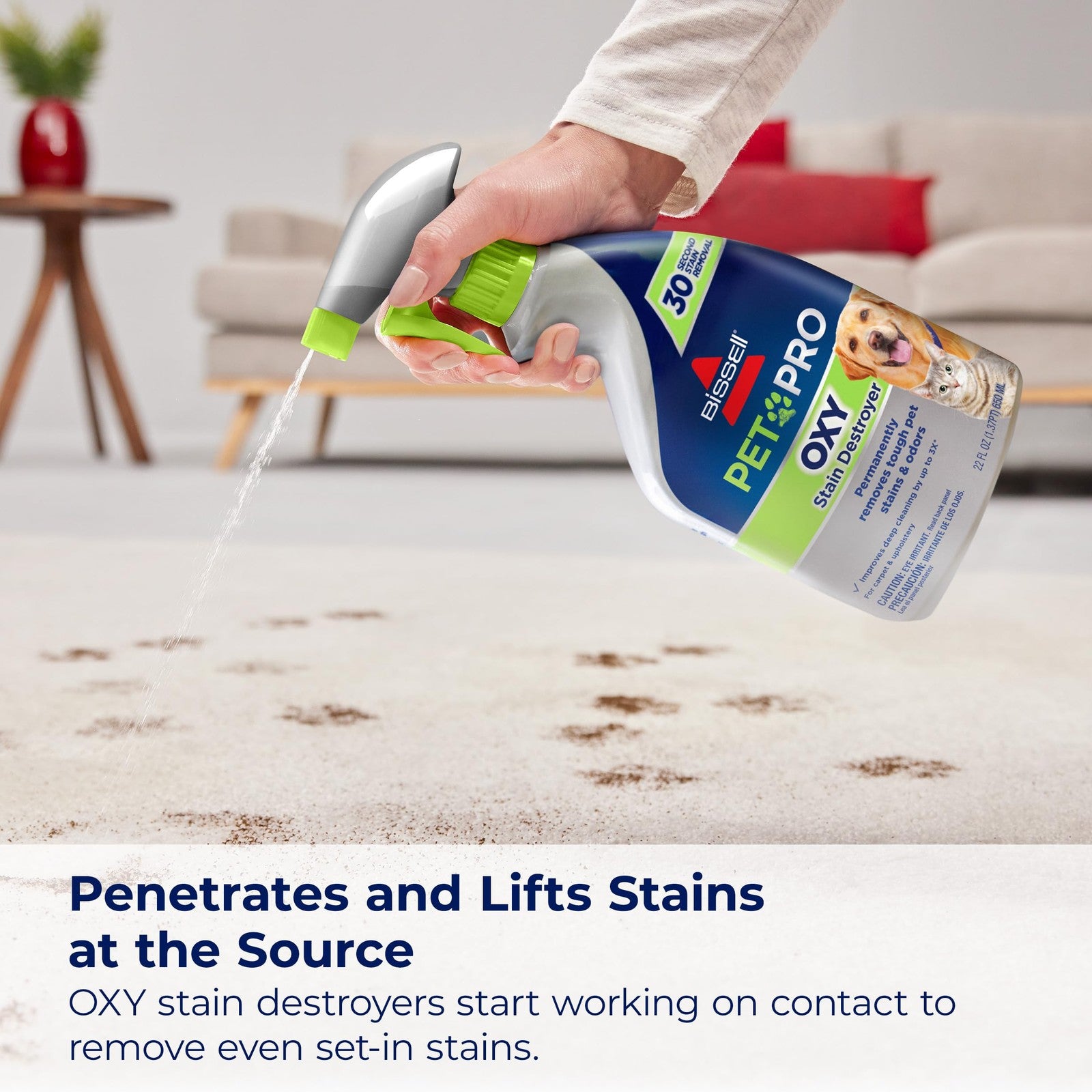 BISSELL PET PRO OXY Stain Cleaner, 22 oz, 2 Pack for Carpet & Upholstery