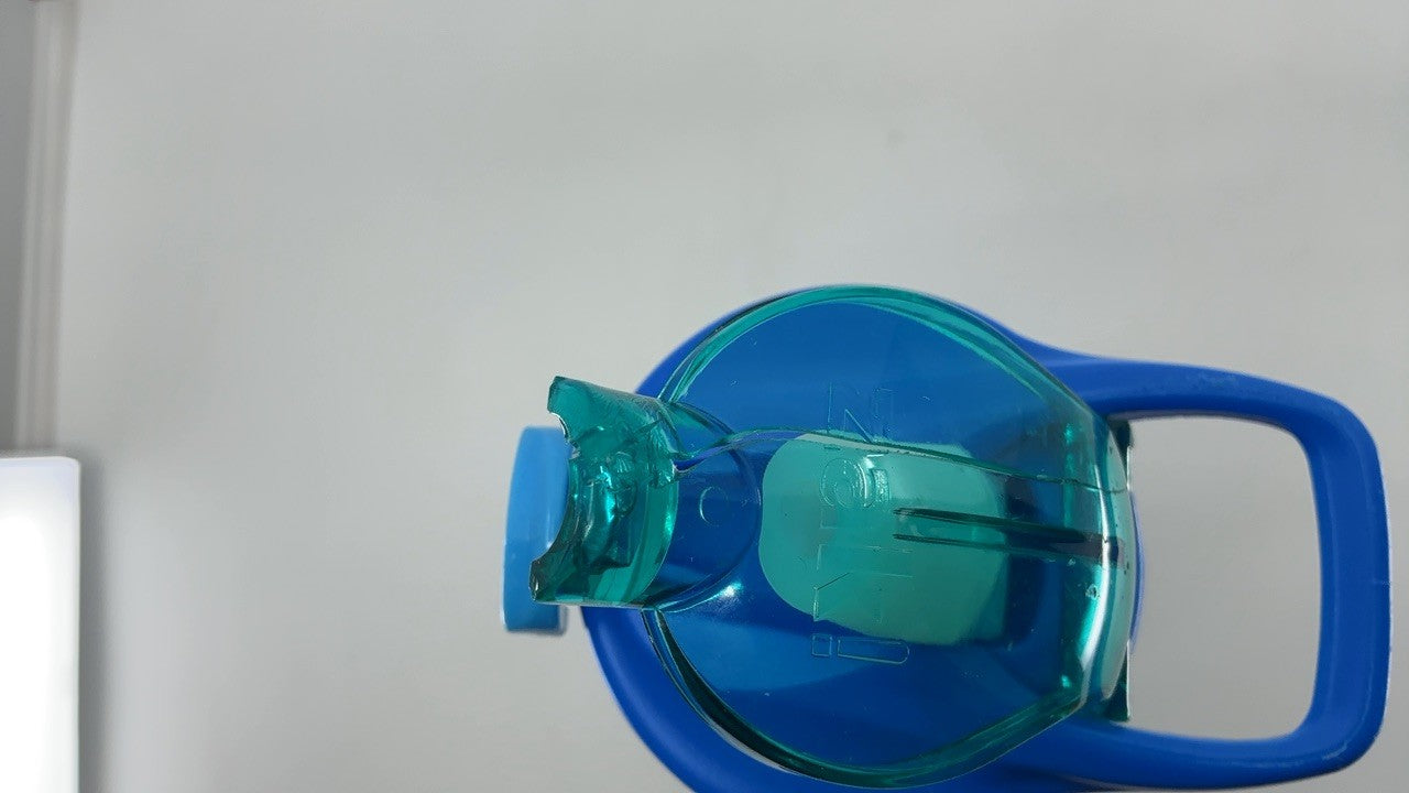 Disney Lilo & Stitch 19 oz Vacuum Insulated Water Bottle - Stainless Steel