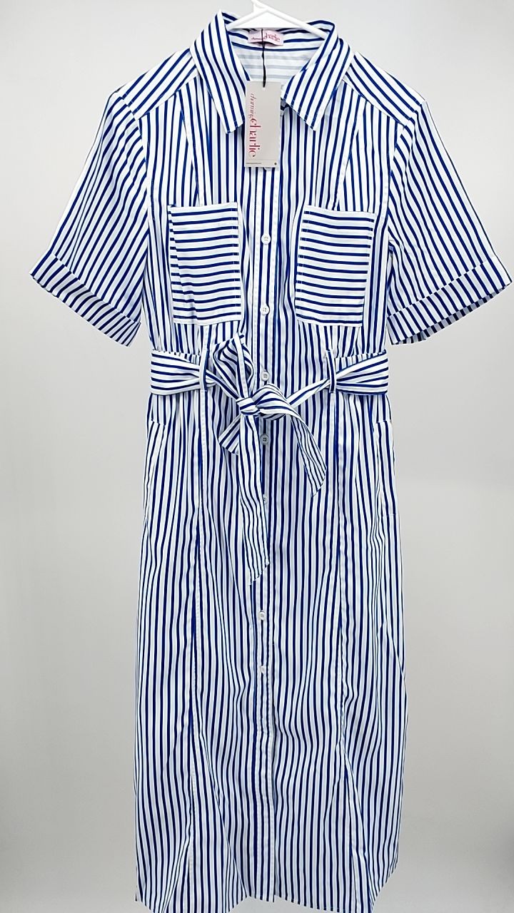 Striped Button Front Shirt Dress