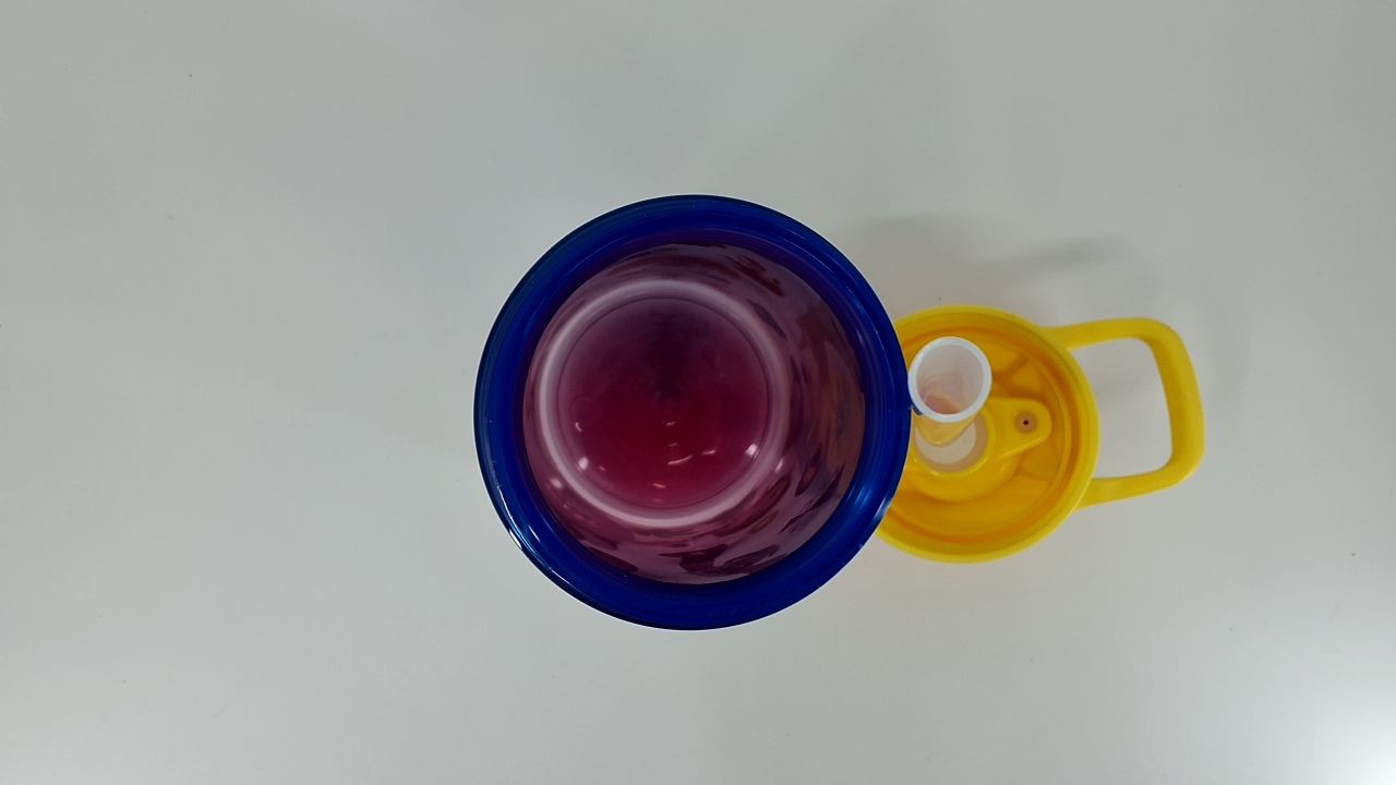 Disney Pixar Inside Out 2 Water Bottle 25oz w/ Straw & Handle