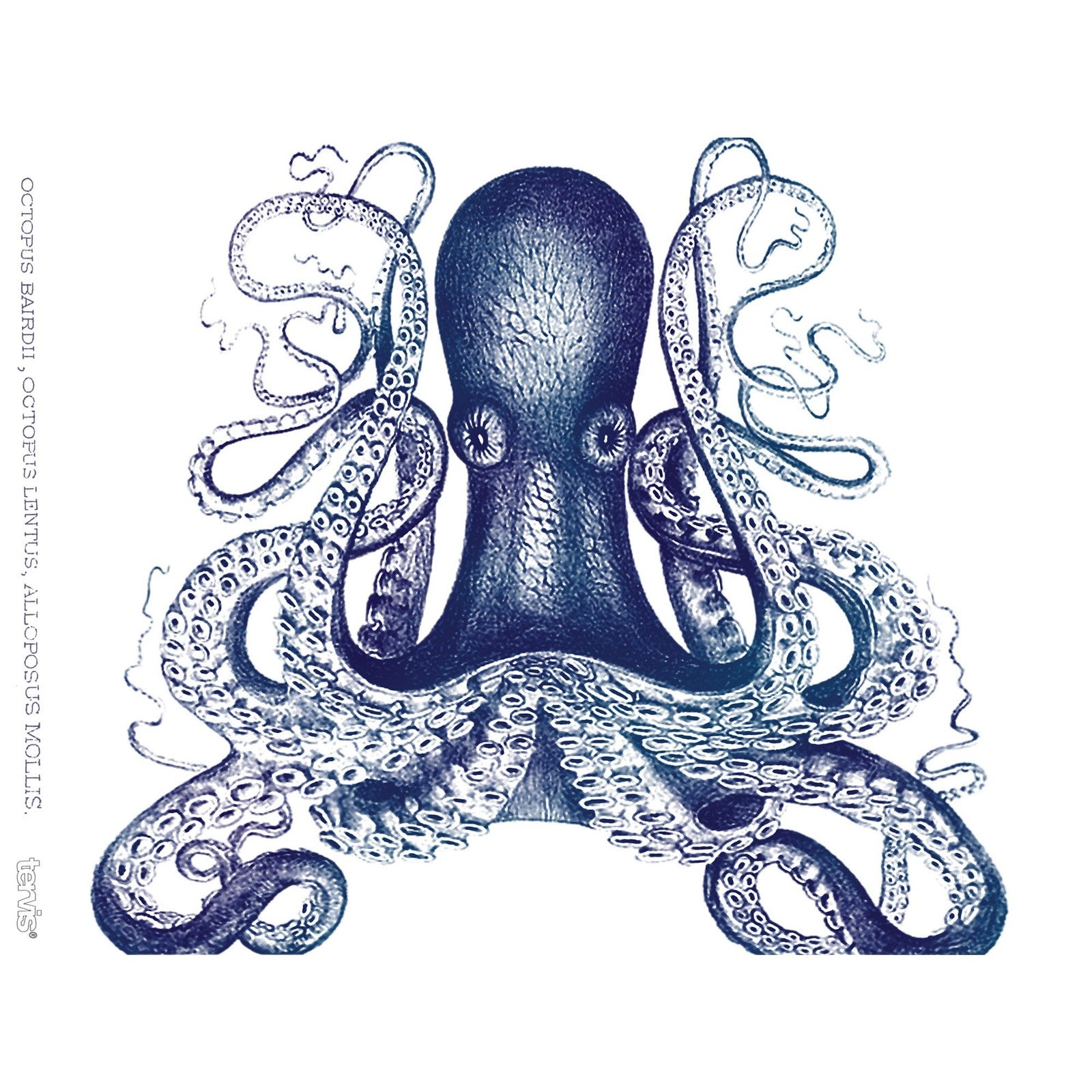 Tervis 24oz Double Wall Octopus Tumbler, Keeps Drinks Hot & Cold