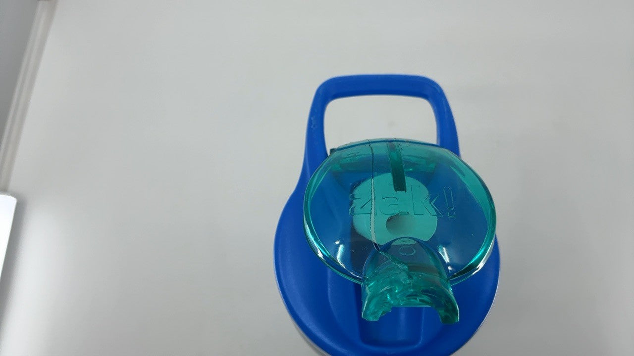 Disney Lilo & Stitch 19 oz Vacuum Insulated Water Bottle - Stainless Steel