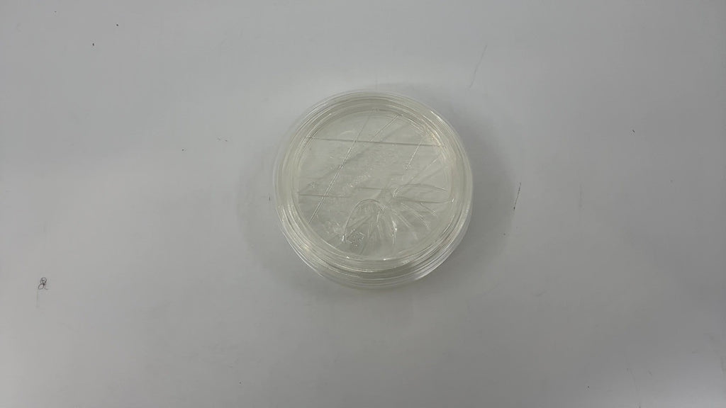 TOSSWARE Natural 50 Flat Sip Lids - Compatible with 10-24oz Cups - Clear
