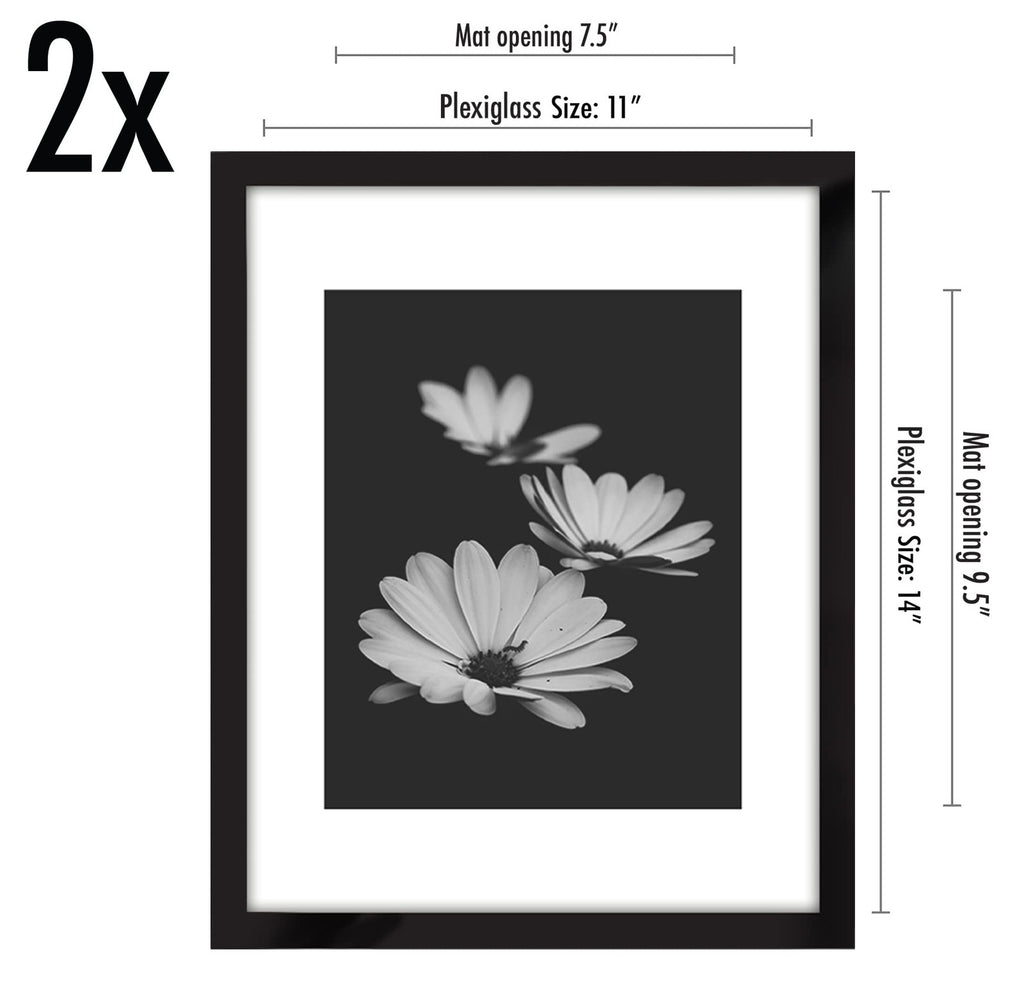 11x14 Picture Frame Duo - Black, Polished Plexiglass & Mat Option