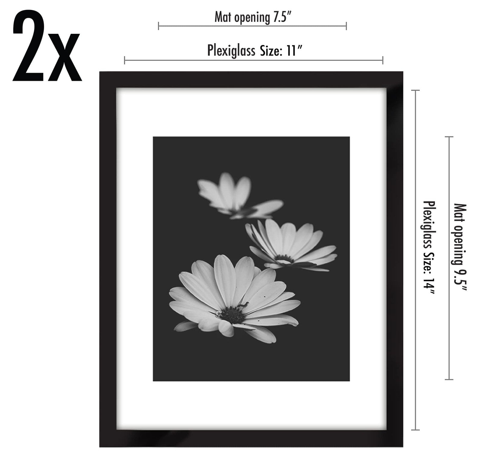 11x14 Picture Frame Duo - Black, Polished Plexiglass & Mat Option