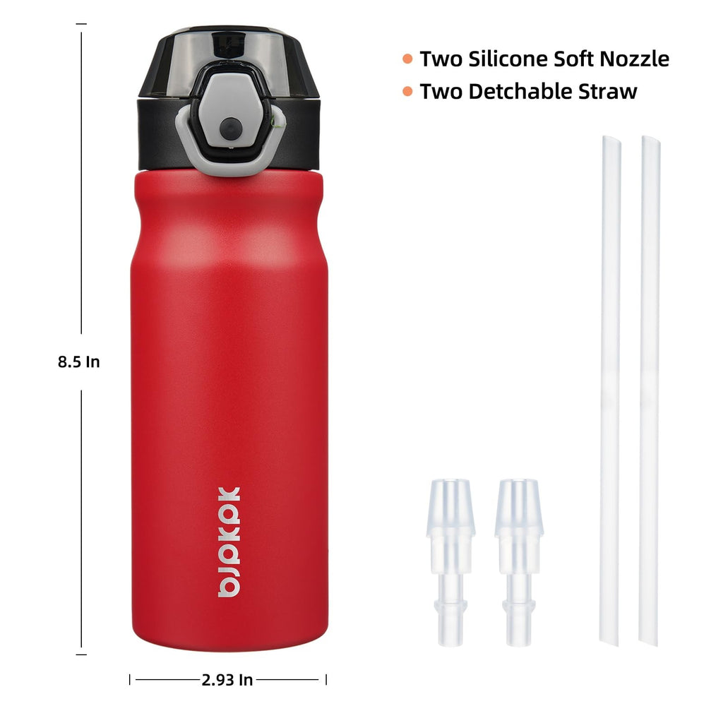 18oz BPA Free Water Bottle, Insulated Stainless Steel, Red, w/ Locking Lid