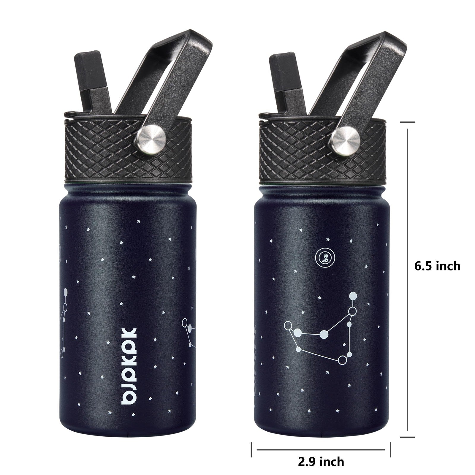 Reusable 15 oz Insulated Water Bottle - Capricornus, BPA Free, Leak Proof