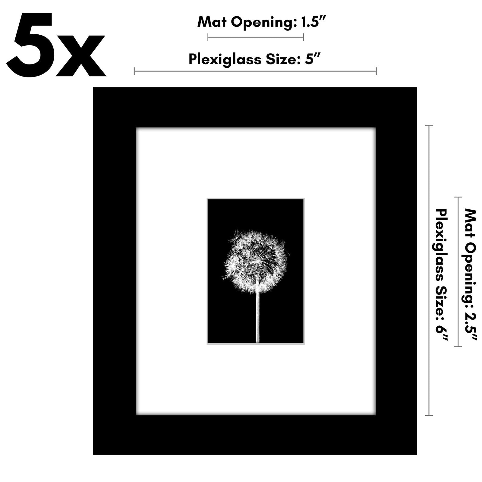 5x6 Black Picture Frame Set - Display 2x3 or 5x6 Photos - Galleria Collection