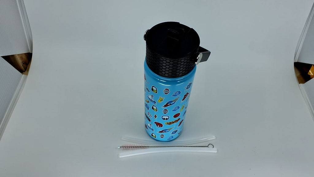 Reusable 18 oz Insulated Water Bottle, Straw Lid, Stainless Steel, BPA Free