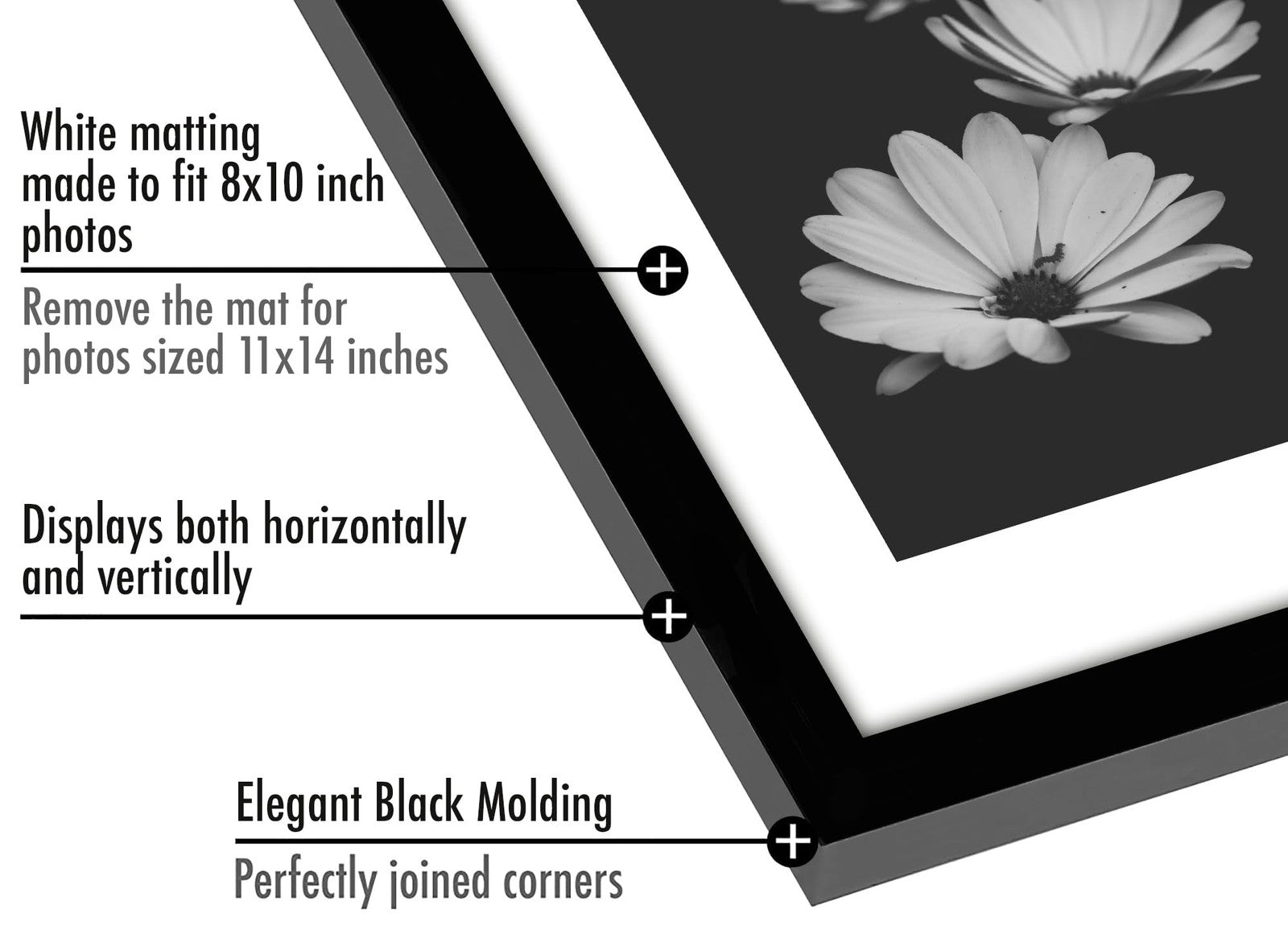 11x14 Picture Frame Duo - Black, Polished Plexiglass & Mat Option