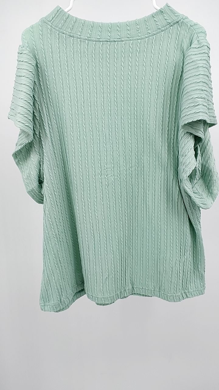 Textured Round Neck Flounce Sleeve Blouse