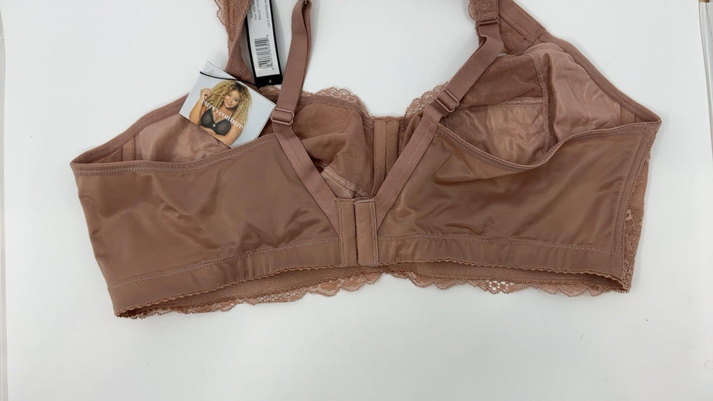 Curvy Couture Plus Size Plunge Bra 44D, Sheer Mesh, Ballet Fever