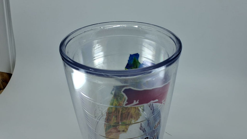 Tervis 24oz Insulated Tumbler - Florida Sunshine State, Clear & Turquoise