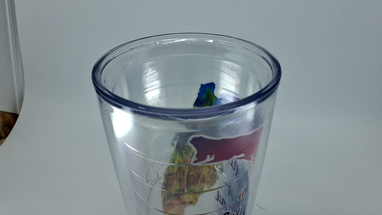 Tervis 24oz Insulated Tumbler - Florida Sunshine State, Clear & Turquoise