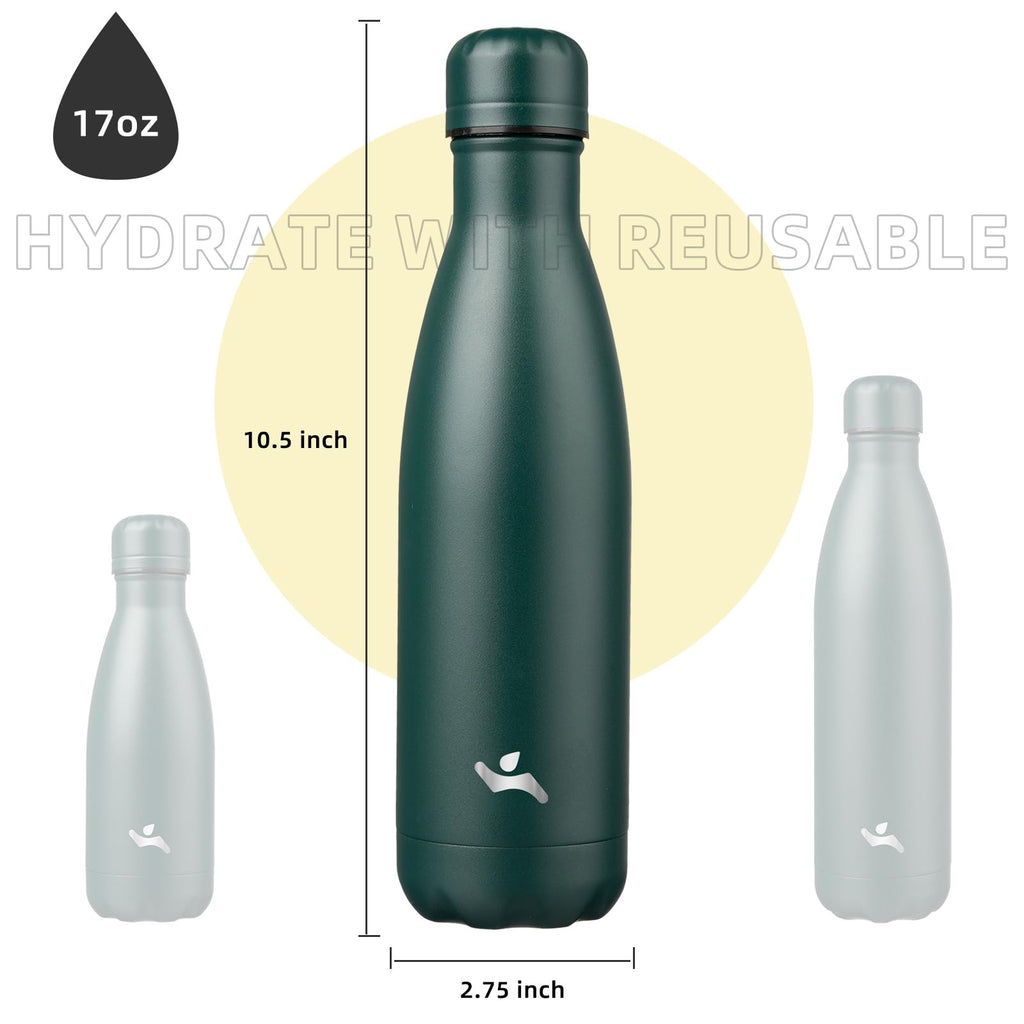17oz Insulated Stainless Steel Water Bottle, Army Green