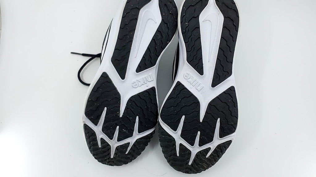 Nike Flex Runner 2 (Big Kid)