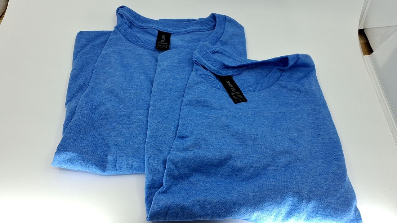 2-Pack Gildan G64000 Softstyle Cotton T-Shirts, Large, Heather Royal