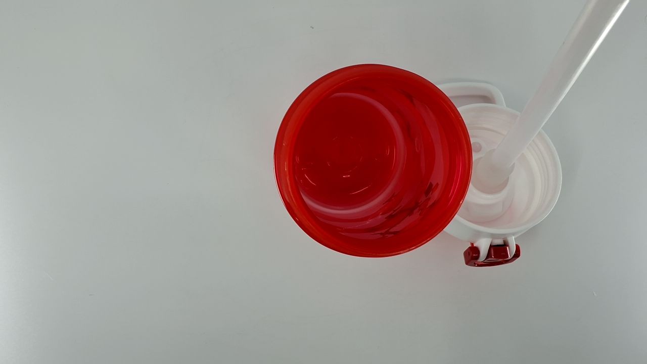 Kids Water Bottle 16oz - Dr. Seuss Cat In The Hat, Easy Clean & Durable