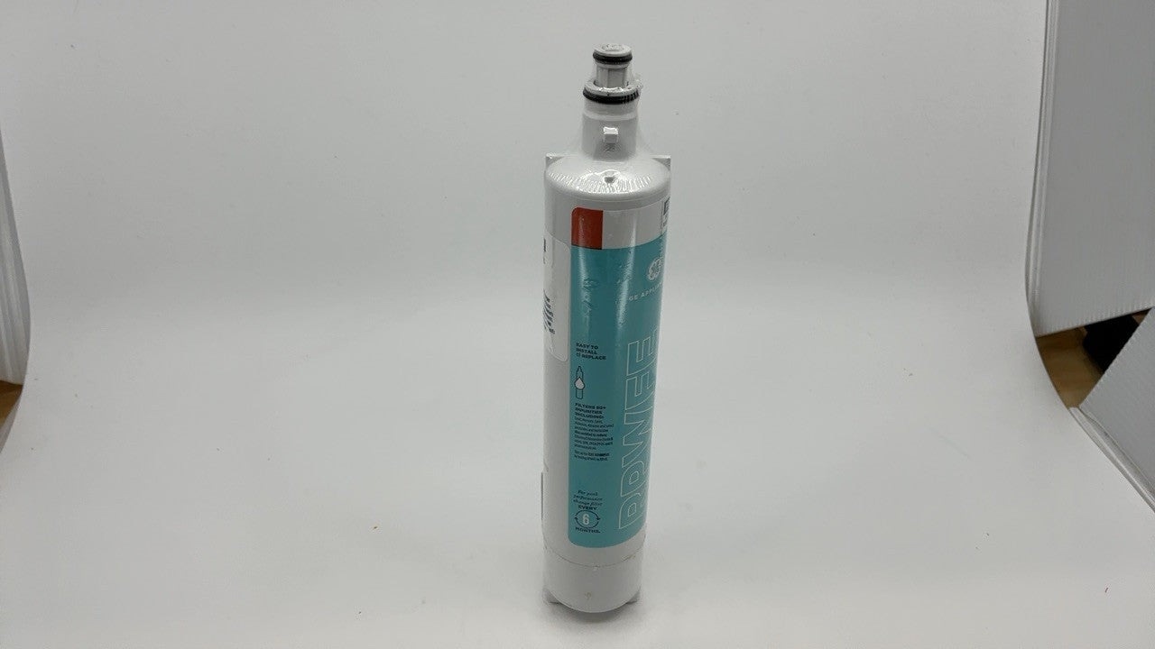 GE RPWFE Water Filter, Certified Replacement, 1 Count, Reduces 50+ Impurities