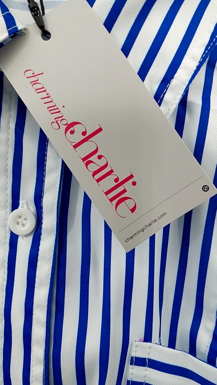 Striped Button Front Shirt Dress