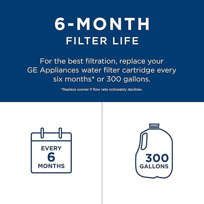 GE RPWFE Refrigerator Water Filter, Reduces Pharmaceuticals, 1 Pack
