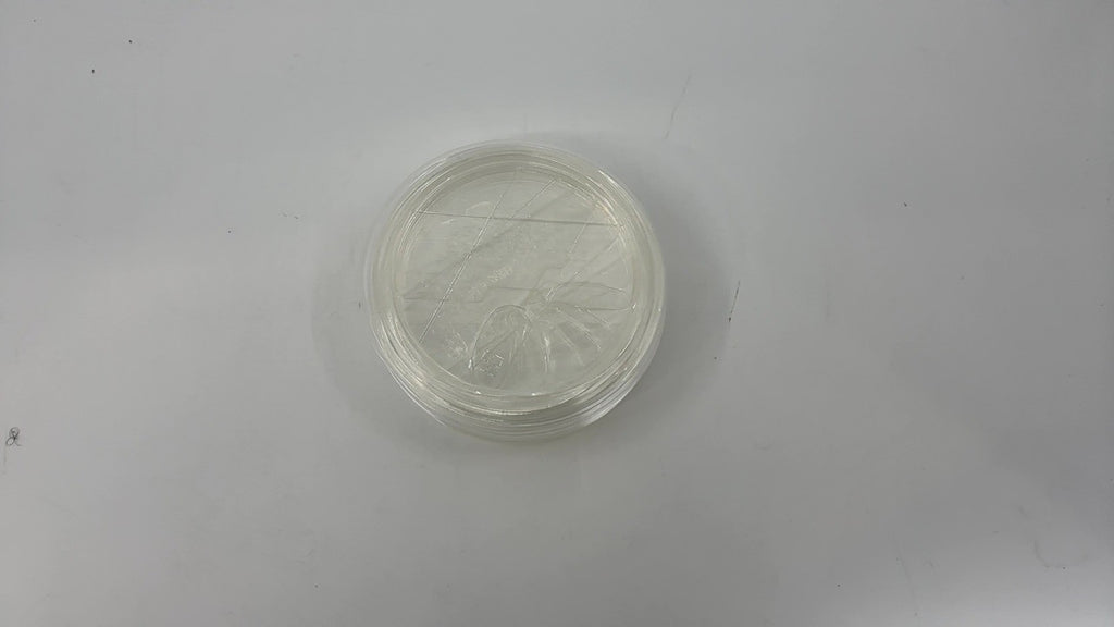 TOSSWARE Natural 50 Flat Sip Lids - Compatible with 10-24oz Cups - Clear