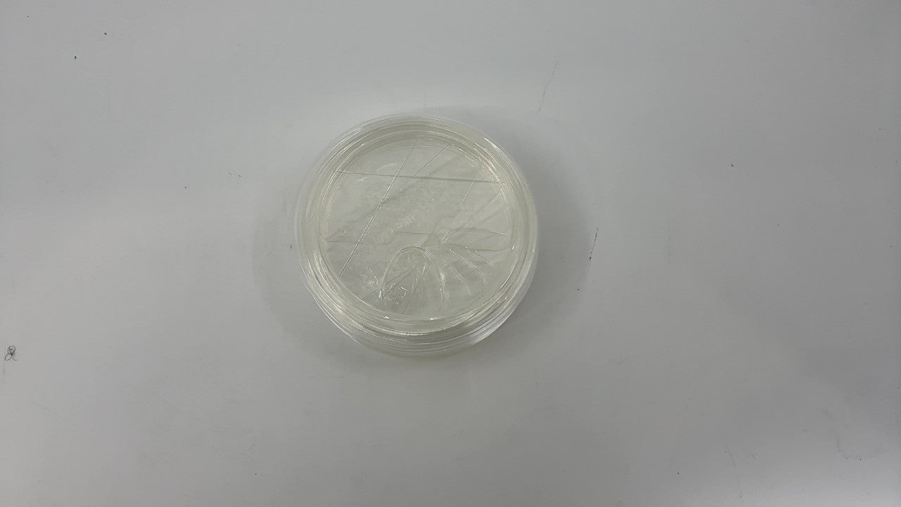 TOSSWARE Natural 50 Flat Sip Lids - Compatible with 10-24oz Cups - Clear
