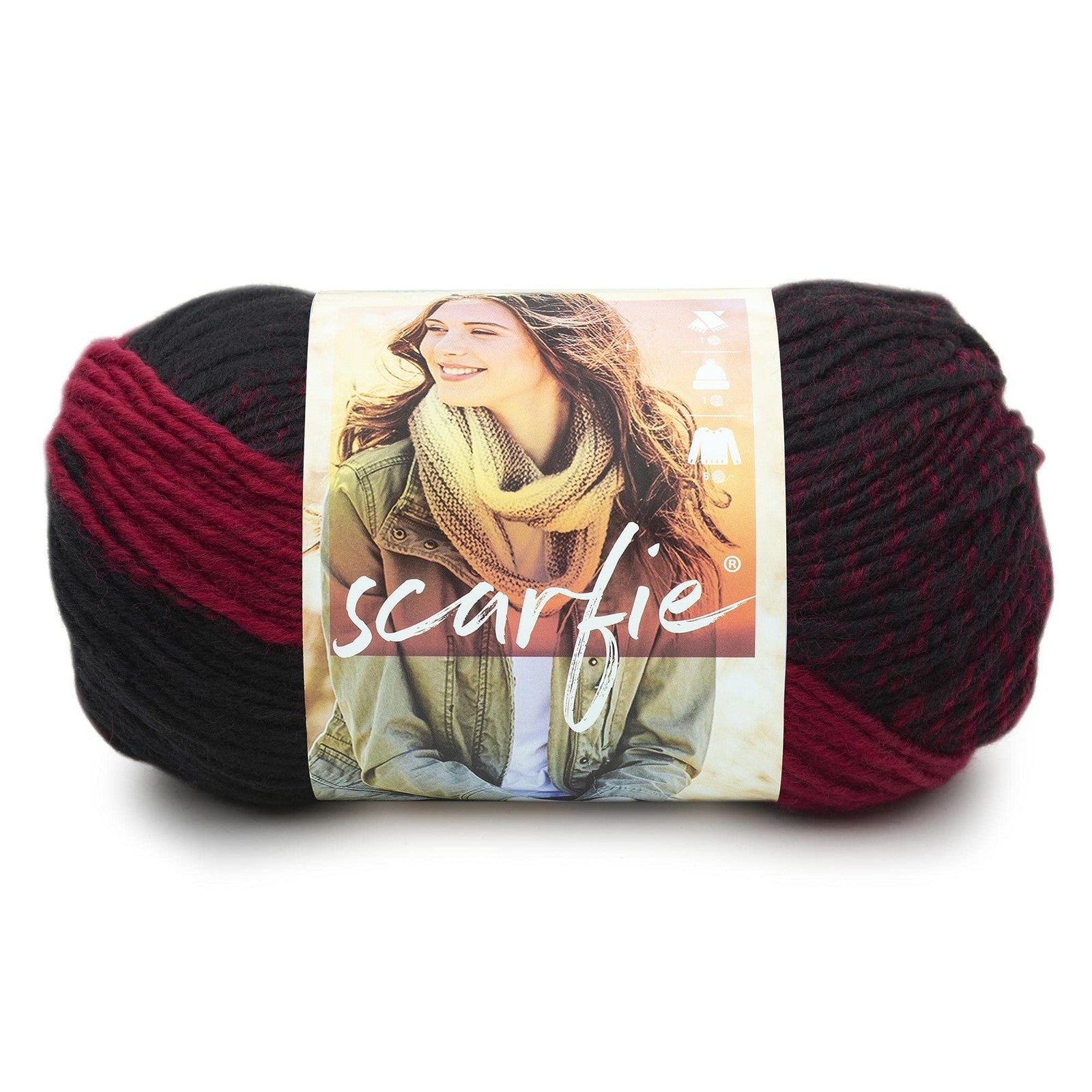 Lion Brand Yarn (1 Skein) Scarfie Bulky Yarn, Cranberry/Black