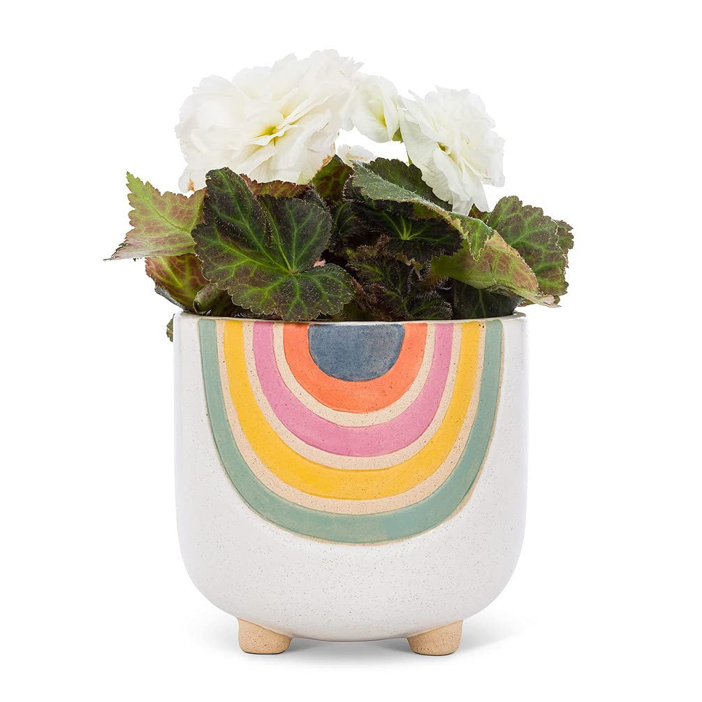 Abbott Collection Small Rainbow Planter with Legs, 4" H
