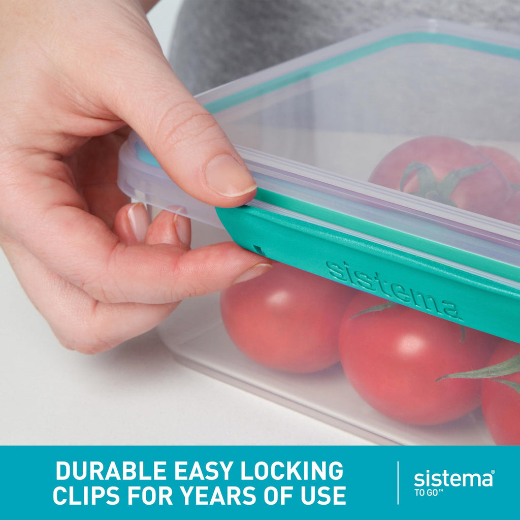 Sistema 1.65L Bento Box w/ Compartments 2 Count Minty Teal & Blue