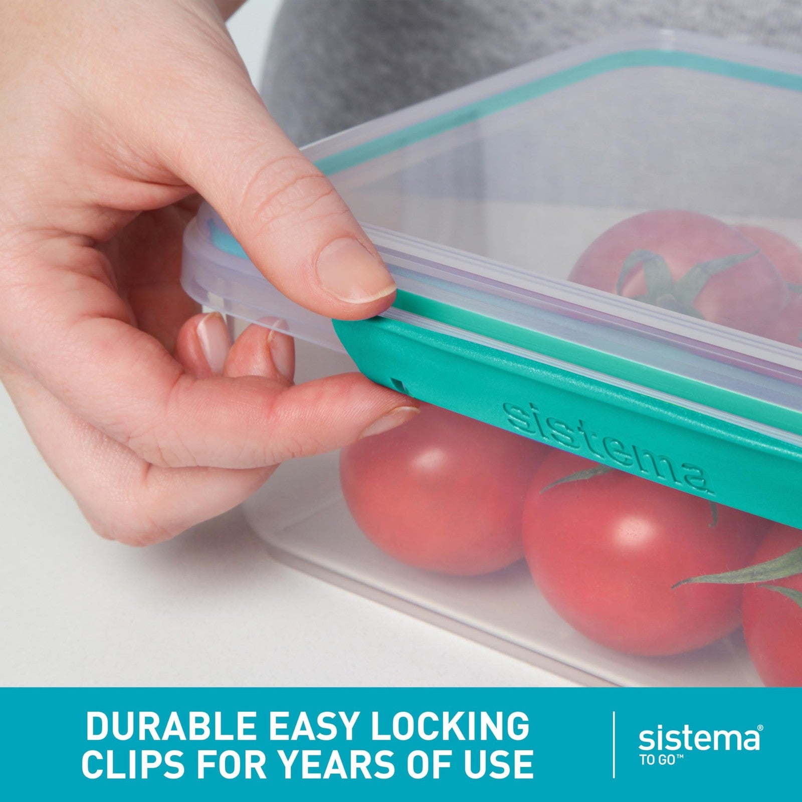 Sistema 1.65L Bento Box w/ Compartments 2 Count Minty Teal & Blue