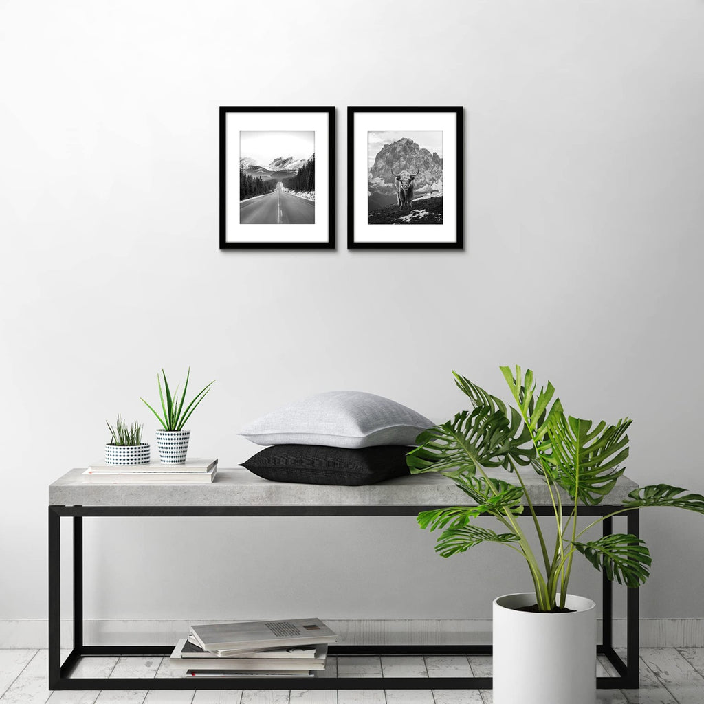 11x14 Picture Frame Duo - Black, Polished Plexiglass & Mat Option