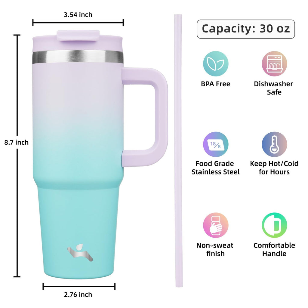Stainless Steel 30oz Tumbler, Insulated, Lavender Green, 2 Straws