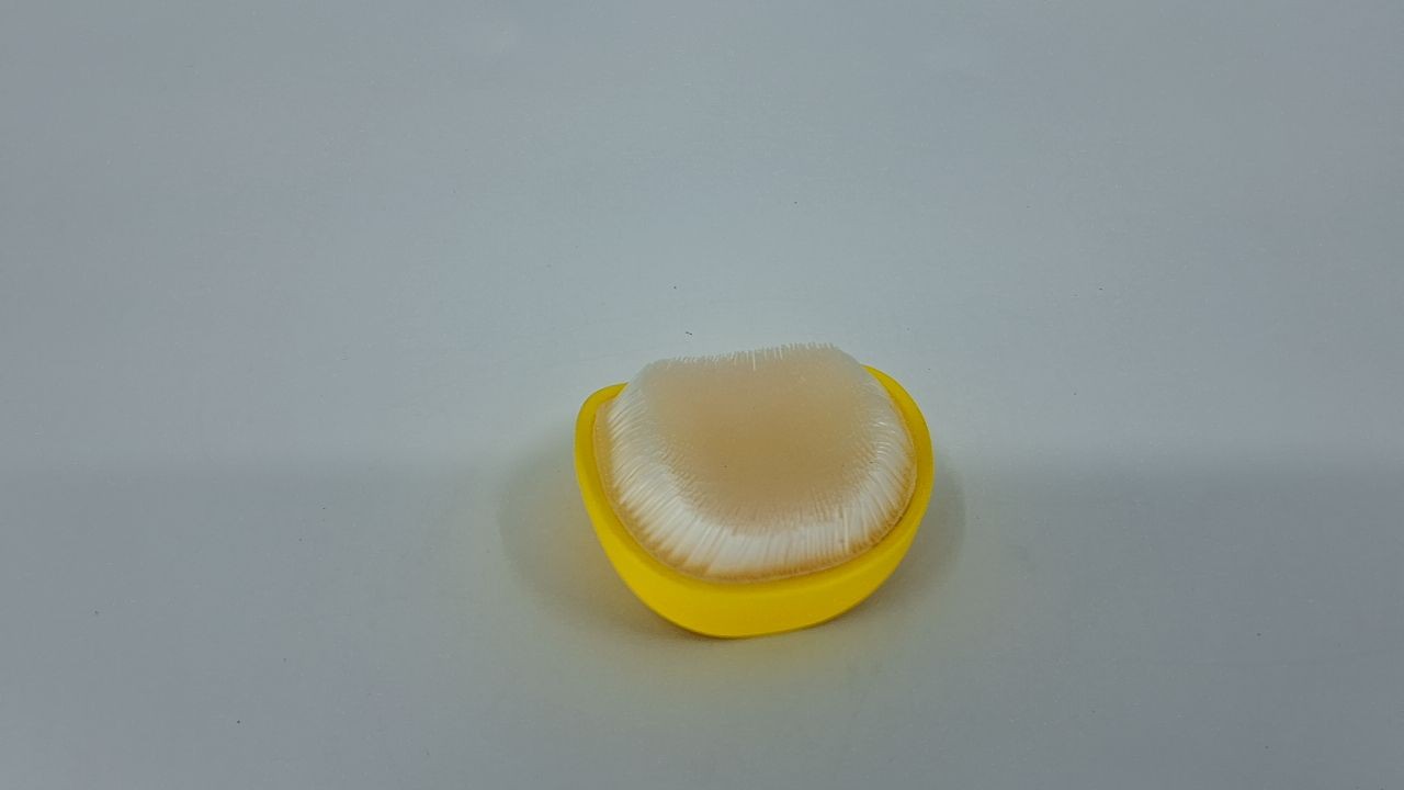 Chef'n Silkster Corn Brush, Removes Silk