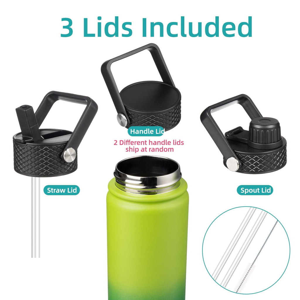 22oz Stainless Steel Insulated Water Bottle w/ 3 Lids, Bamboo Grove