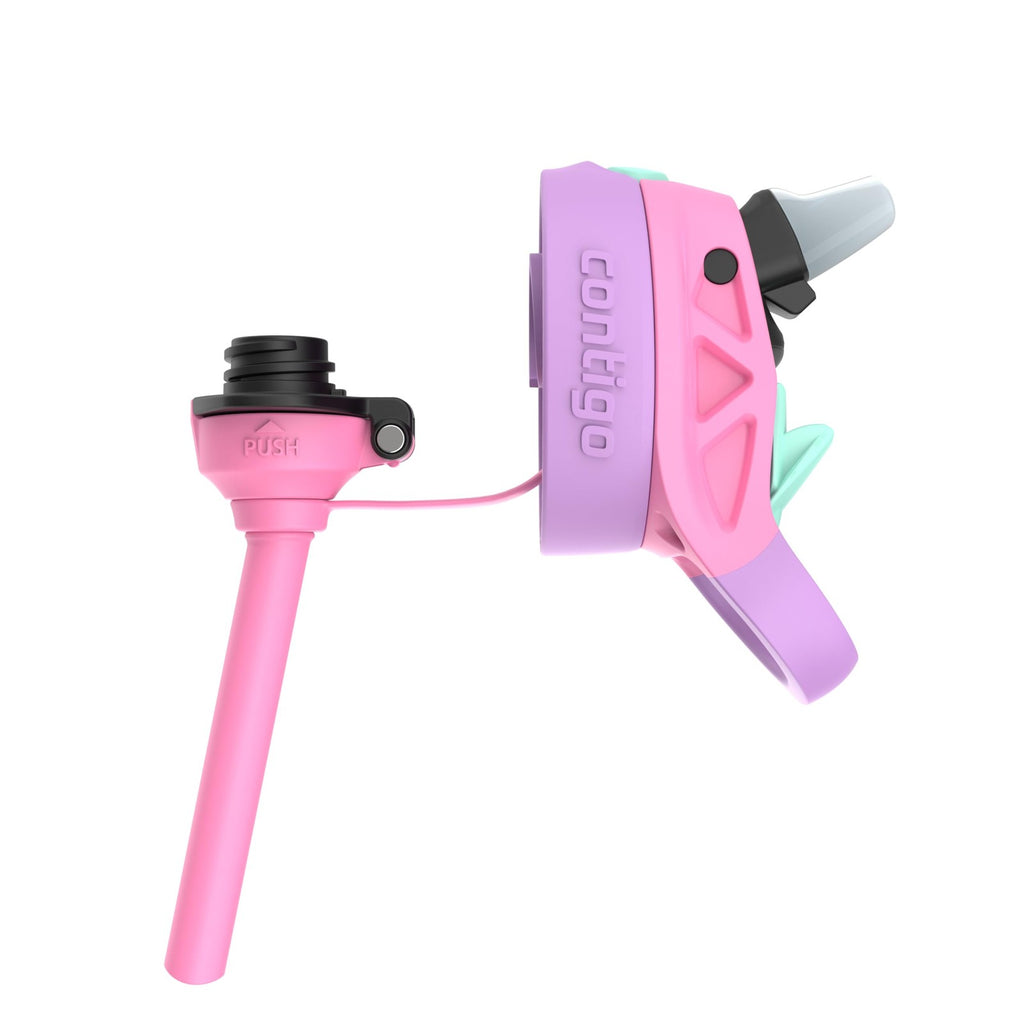 Contigo Autospout Water Bottle with Straw 13 oz Azalea/Pansy