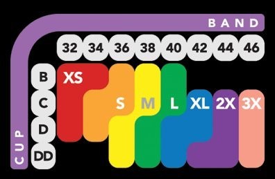 Bali Comfort Revolution Seamless Crop Top 2 Pack, Small, Light Beige/Nude