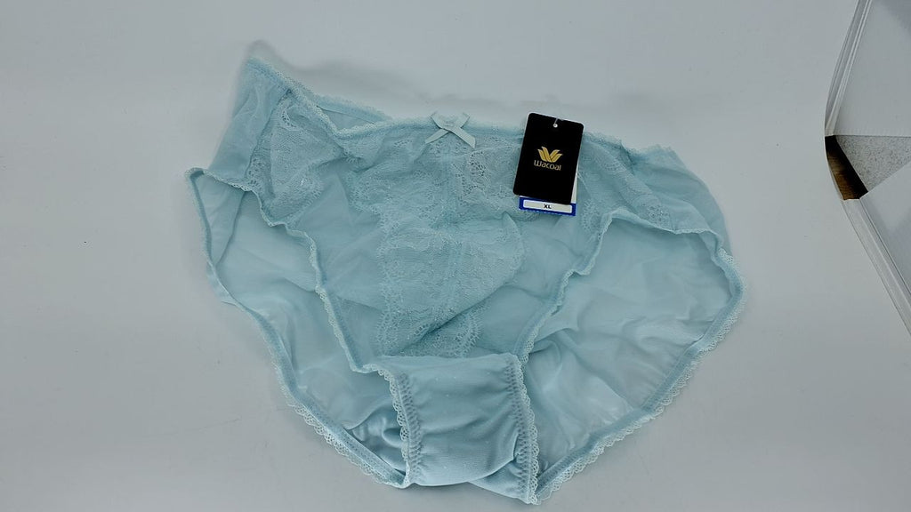 Wacoal Women's Retro Chic Brief Panty 841186 Pastel Blue X-Large