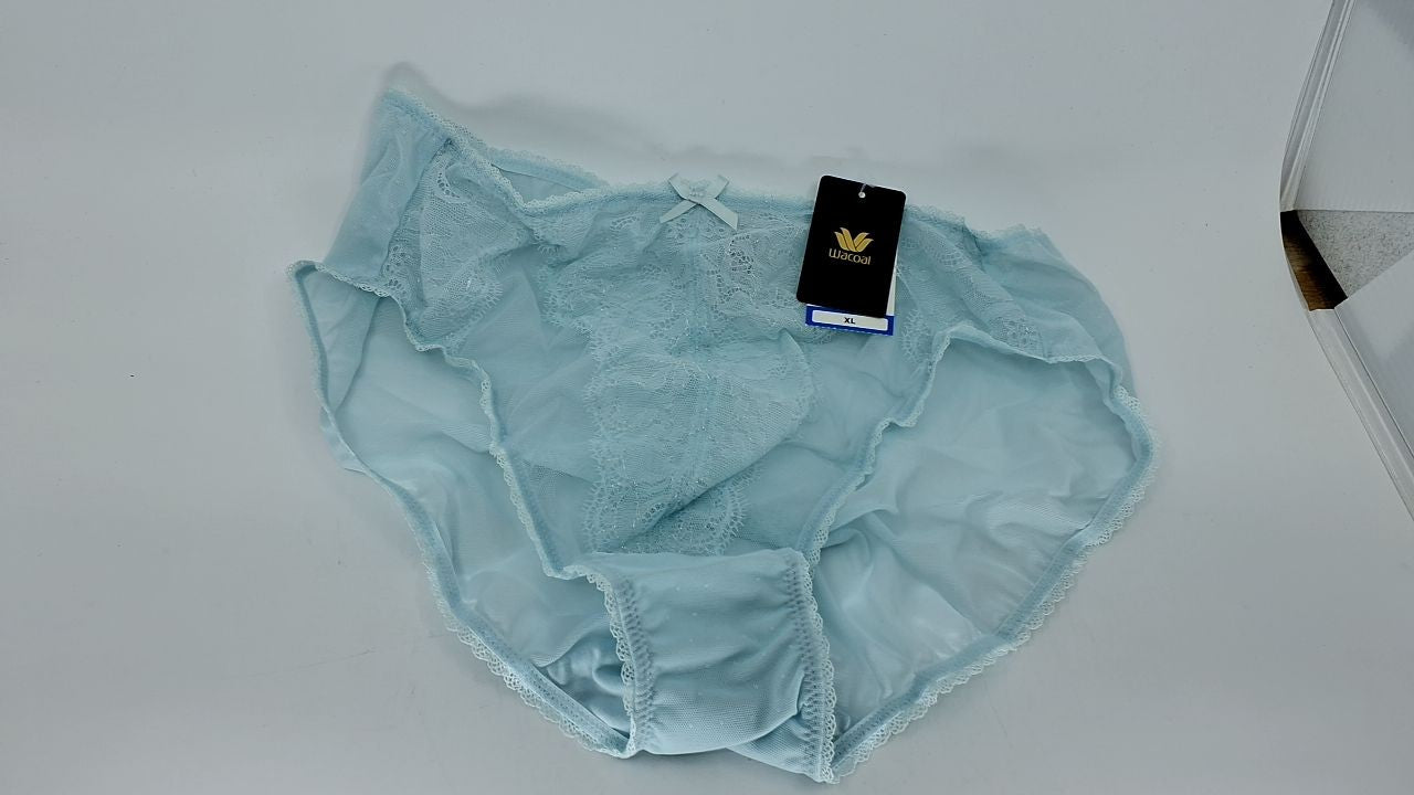Wacoal Women's Retro Chic Brief Panty 841186 Pastel Blue X-Large