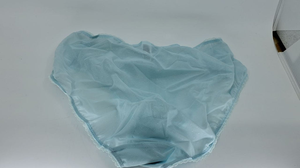 Wacoal Women's Retro Chic Brief Panty 841186 Pastel Blue X-Large