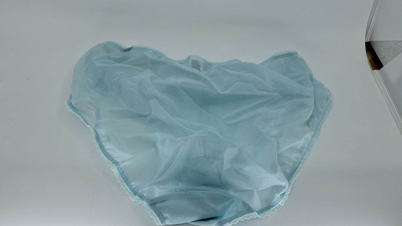 Wacoal Women's Retro Chic Brief Panty 841186 Pastel Blue X-Large