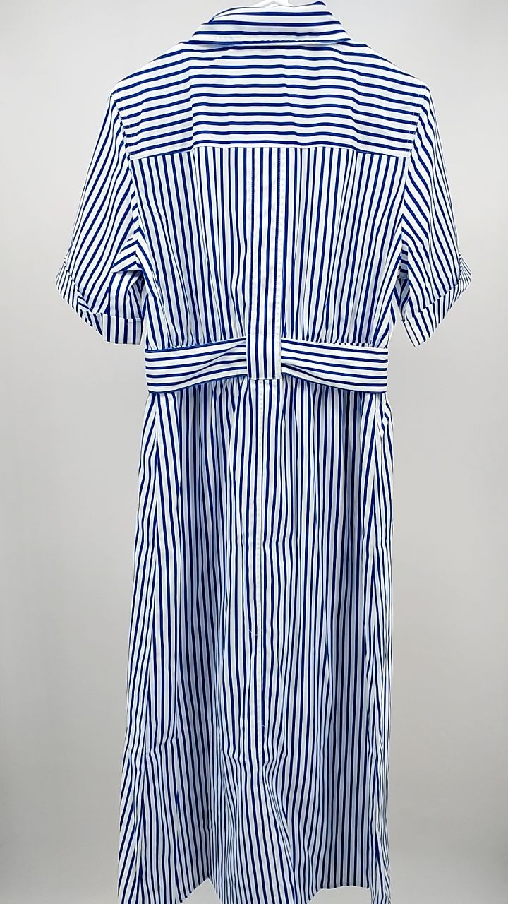 Striped Button Front Shirt Dress