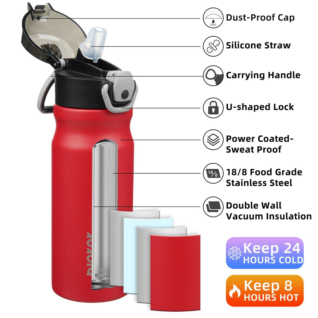 18oz Insulated Stainless Steel Water Bottle w/ Straw, Red