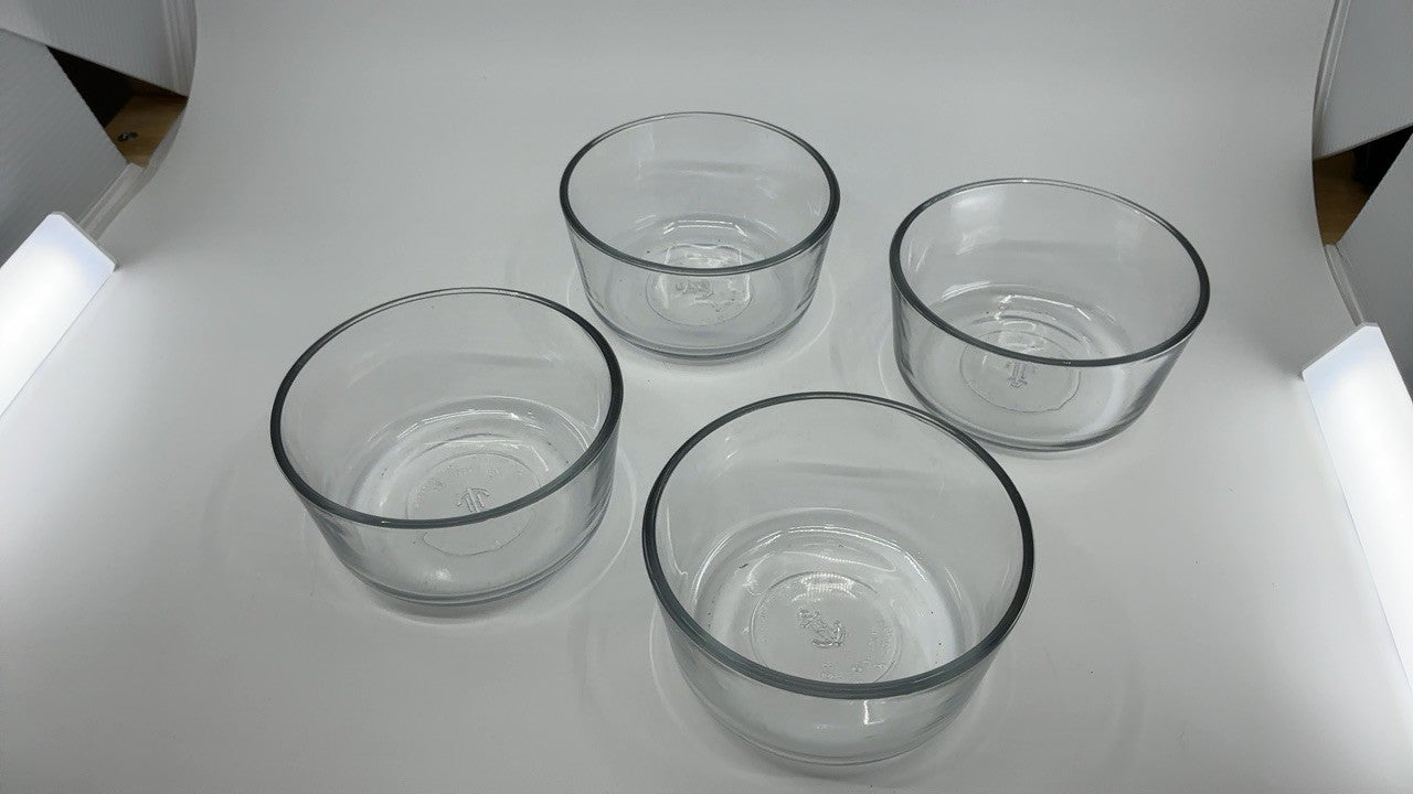 Set of 4 2 Cup Glass Containers w/ Mint Lids for Food Storage