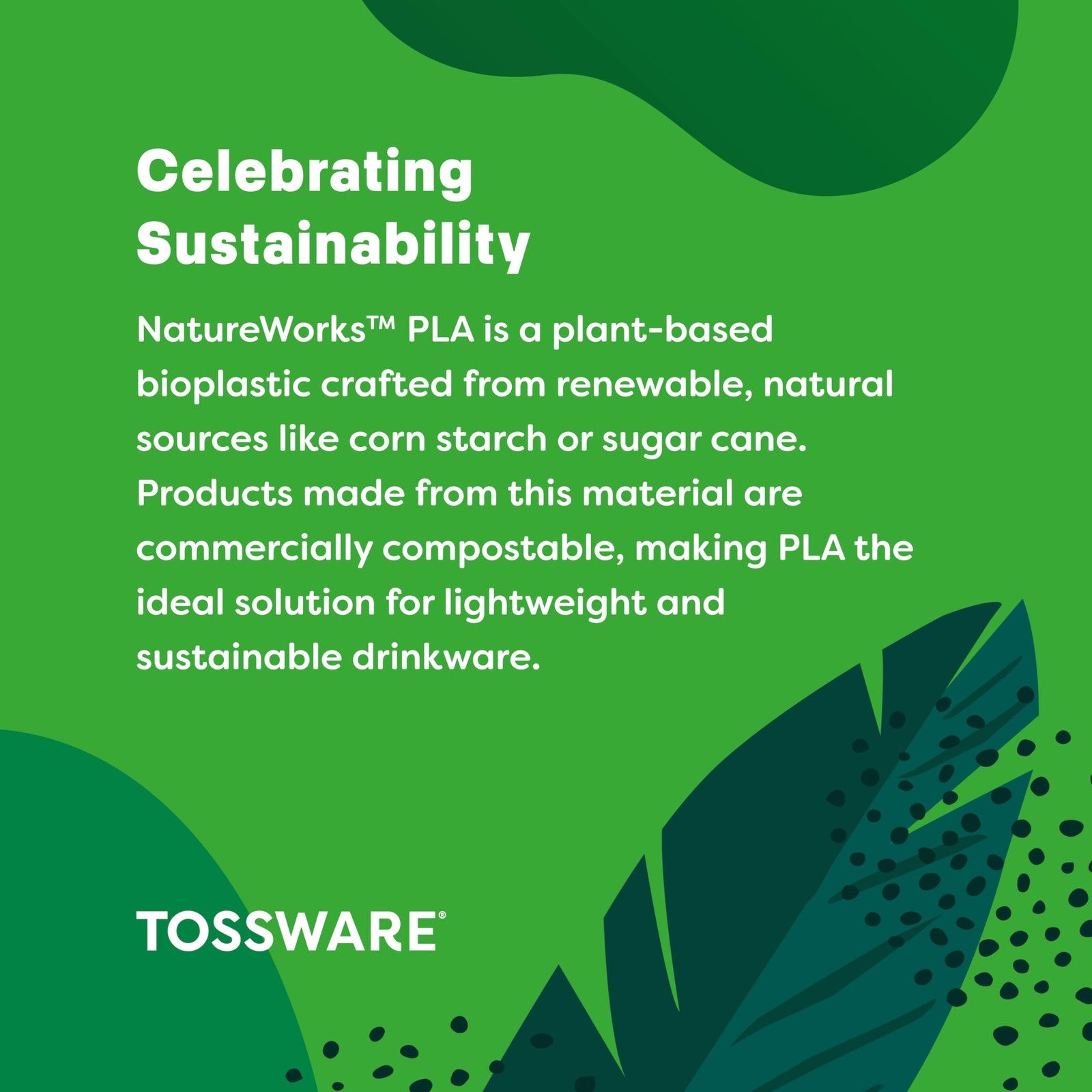 TOSSWARE Arc 12oz Clear Cold Cups - Set of 50 - Plant-Based & Recyclable