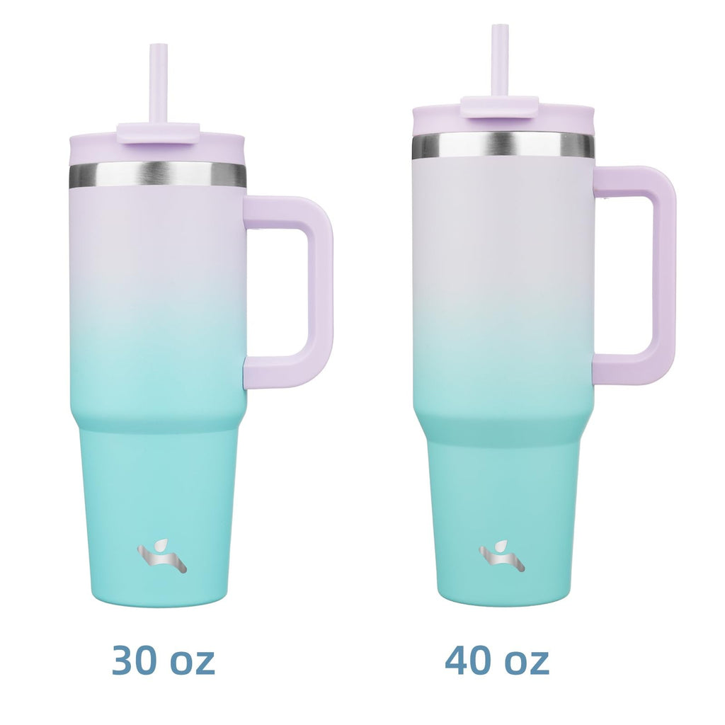 Stainless Steel 30oz Tumbler, Insulated, Lavender Green, 2 Straws